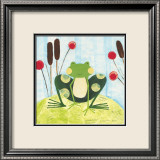 The Pretty Green Frog