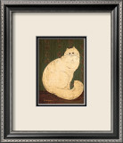 White Persian Cat