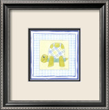 Turtle with Plaid III