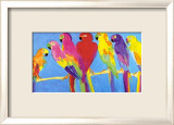 Parrots in Blue