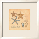 Starfish