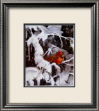 Winter Refuge