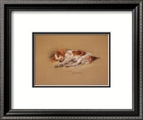 "Judy, a Spaniel Puppy" Pre-made-framed Framed Art Print