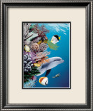 Dolphin's Reef