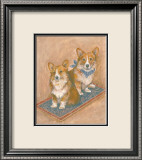 Corgis