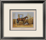 Sea Biscuit