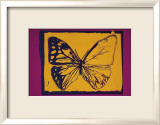 Vanishing Animals: Butterfly  c1986 (Yellow on Purple)