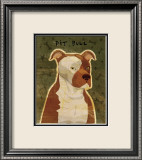 Pit Bull