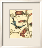 Hummingbird Reverie I