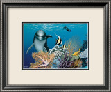 Coral Garden and Dolphin