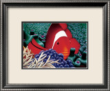 Clown Fish