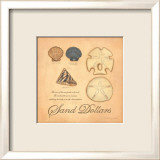 Sand Dollars