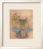 Terriers