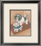 Kyo Leo Maltese
