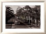 On the Avenue