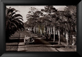 On the Avenue