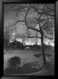 Winter at Night  New York  Central Park