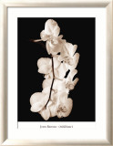 Orchid Dance I