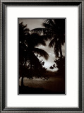 Moorea Morning