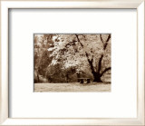 Arboretum Gardens