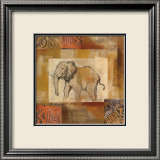 African Animal IV