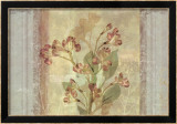Peruvian Lily