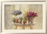 Spring Bulb Still Life
