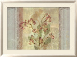 Peruvian Lily