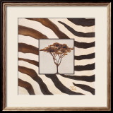 Contemporary Africa II
