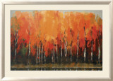Birch Shoreline