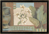 Lanai II