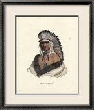 Pawnee Brave