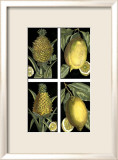 Fruit