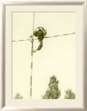 Track and Field  Pole Vault