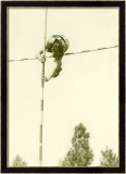Track and Field  Pole Vault