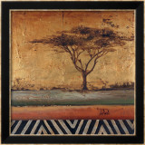 African Dream II