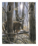 Woodland Sentry