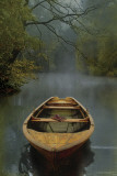 The Old Lake