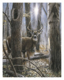 Woodland Sentry