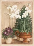 Grande Orchidée I