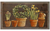 Jonquilles
