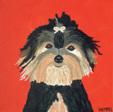 Yorkie
