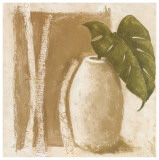 Ficus