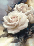 Virgin Rose