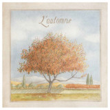 Arbre en Automne