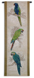 Tropical Birds