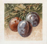 Prunes