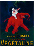Cuisine Vegetaline