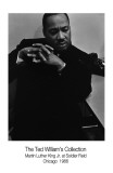 Martin Luther King  Jr