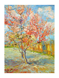 Peach Tree in Bloom at Arles  c1888